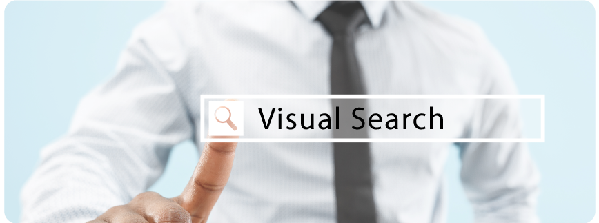 Visual Search