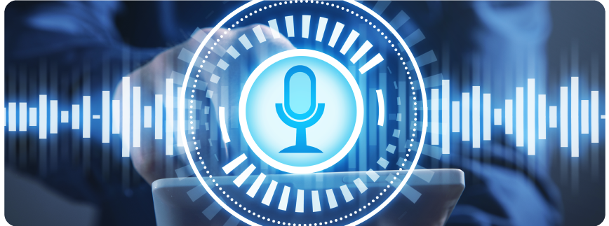 Voice Search